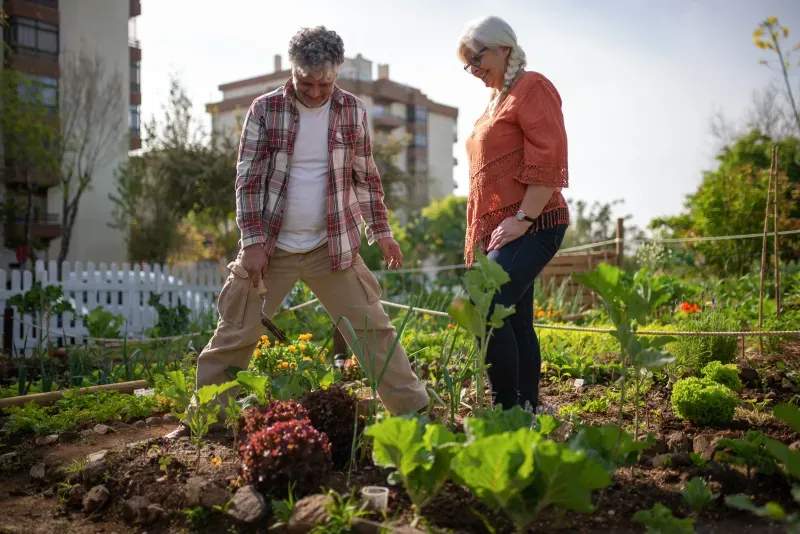 Préparer son jardin provençal pour le printemps